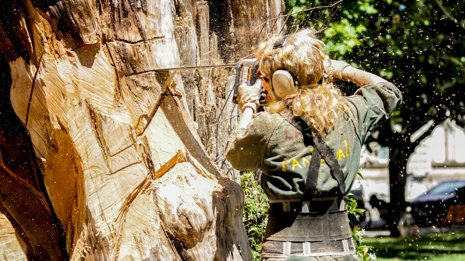 Arborist cutting a tree